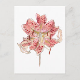 Vintage rote Blume zeichnend von Samuel Colman Postkarte