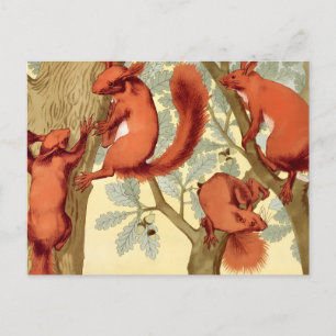 Vintage rote Eichhörnchen Natur Herbst Verneuil Ku Postkarte