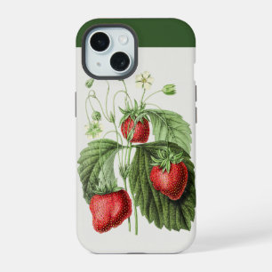 Vintage rote Erdbeer-Kunst iPhone 15 Hülle
