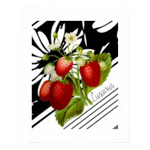 Vintage rote Erdbeeren Schwarz-Weiß-Grafik