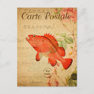 Vintage Rote Fels Fisch Blumen Französisch Postkarte