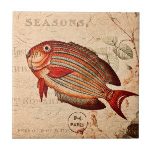Vintage rote Fischblumenillustration Fliese
