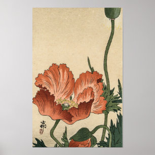 Vintage rote Mohnblume von Ohara Koson Poster