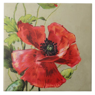 VINTAGE ROTE MOHNBLUMEN-BLUME FLIESE