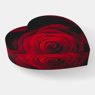 Vintage rote Rose auf schwarzem Hintergrund Briefbeschwerer