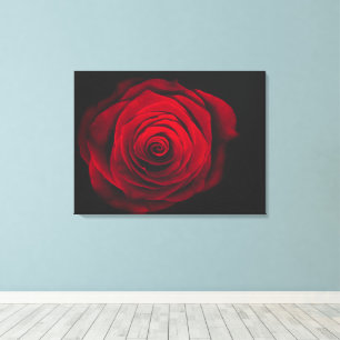 Vintage rote Rose auf schwarzem Hintergrund Leinwanddruck
