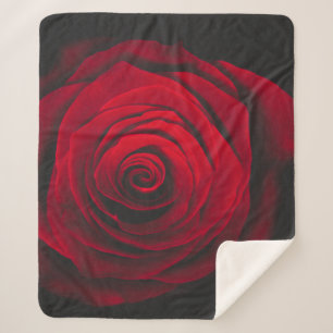 Vintage rote Rose auf schwarzem Hintergrund Sherpadecke
