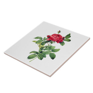 Vintage Rote Rose Fliese