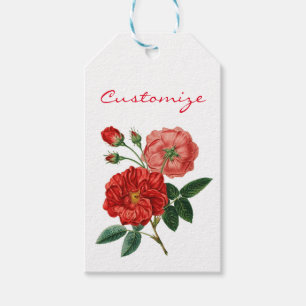 Vintage Rote Rose Illustration Thunder_Cove Geschenkanhänger