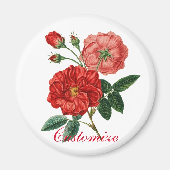 Vintage Rote Rose Illustration Thunder_Cove Magnet (Vorne)