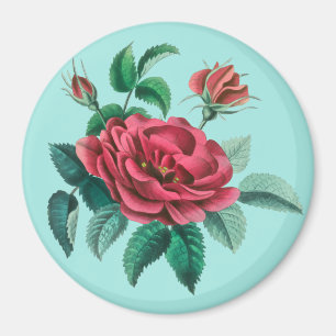 Vintage Rote Rose Magnet