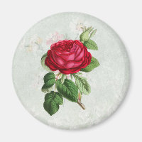 Vintage Rote Rose mit Foliage