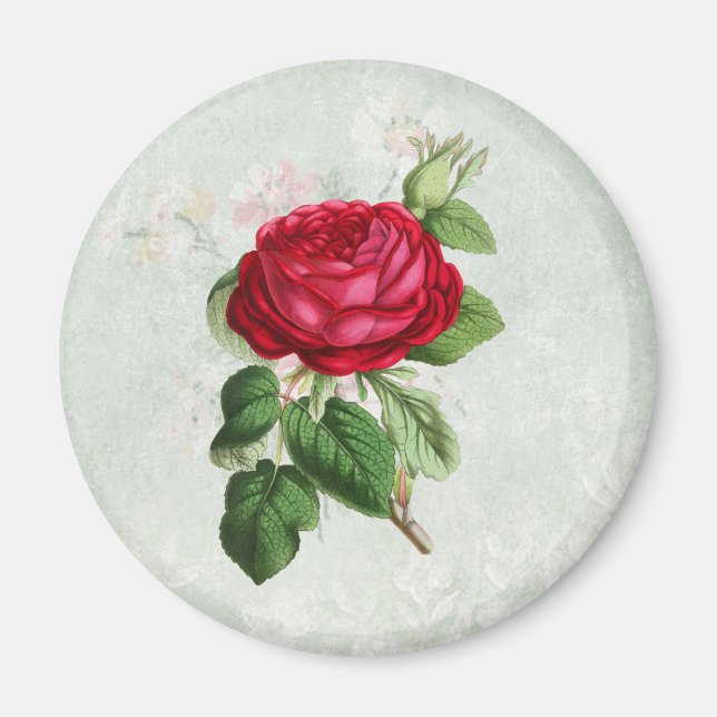 Vintage Rote Rose mit Foliage Magnet (Vorne)