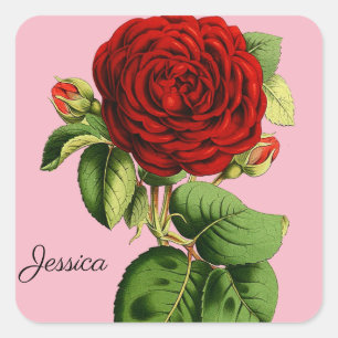 Vintage Rote Rose mit Ihrem Namen Quadratischer Aufkleber