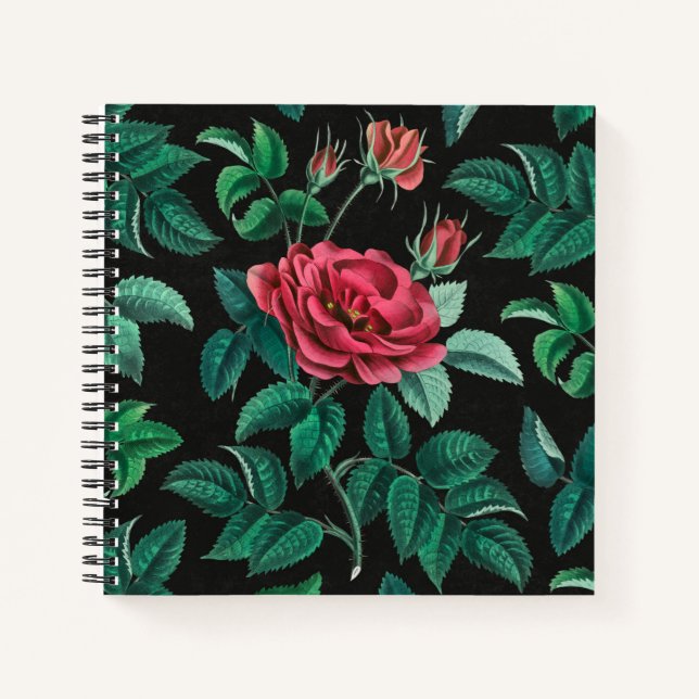 Vintage Rote Rose Notizbuch (Vorderseite)