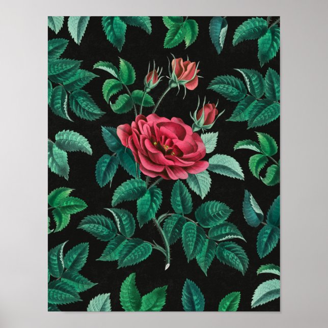 Vintage Rote Rose Poster (Vorne)