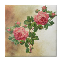 Vintage Rote Rosen