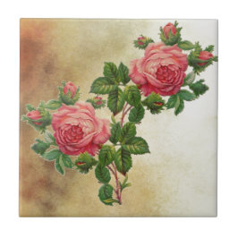 Vintage Rote Rosen Fliese