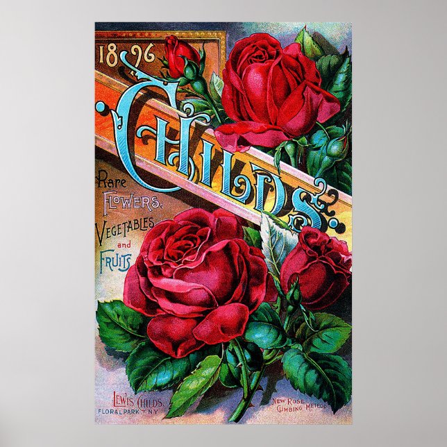 Vintage Rote Rosen Poster (Vorne)