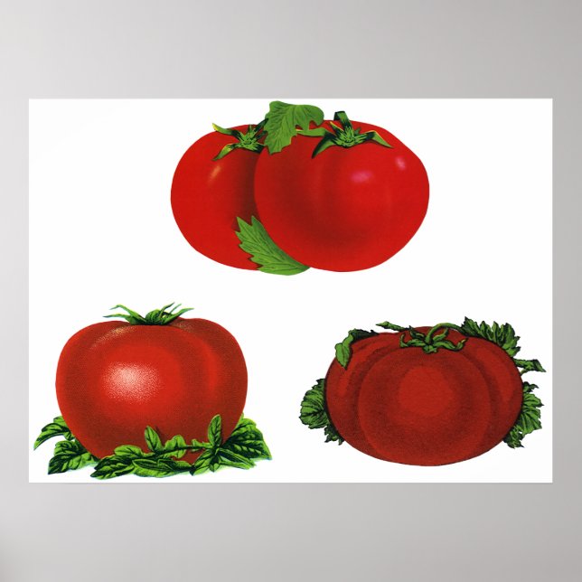Vintage rote Tomaten Nahrungsmittel, Obst, Gemüse Poster (Vorne)