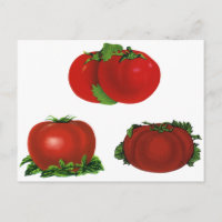 Vintage rote Tomaten Nahrungsmittel, Obst, Gemüse