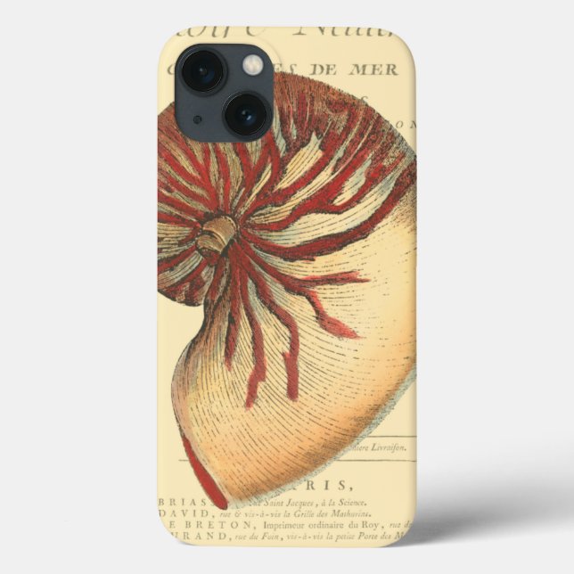 Vintage rote Tritonshorn-Muschel Case-Mate iPhone Hülle (Rückseite)