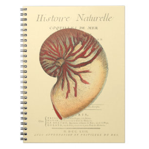 Vintage rote Tritonshorn-Muschel Notizblock