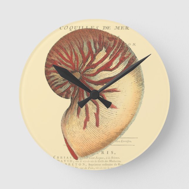 Vintage rote Tritonshorn-Muschel Runde Wanduhr (Vorderseite)