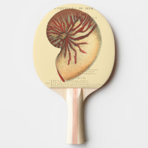 Vintage rote Tritonshorn-Muschel Tischtennis Schläger