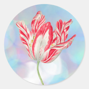 Vintage-Rote Tulpen-Aufkleber Runder Aufkleber