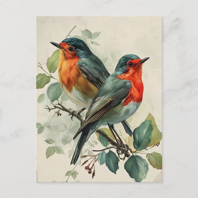 Vintage roter Breasted Robin Postcard Postkarte (Vorderseite)