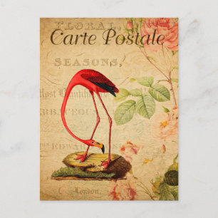 Vintage roter Flamingo Floral Französisch Carte Po Postkarte