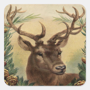 Vintage Rotwild-Dollar-Hirsch-Natur-rustikales Quadratischer Aufkleber
