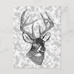 Vintage Rotwildkunstgraphik Postkarte