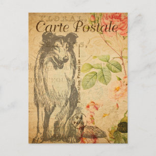 Vintage Rough Collie Hund Floral Blumen Französisc Postkarte