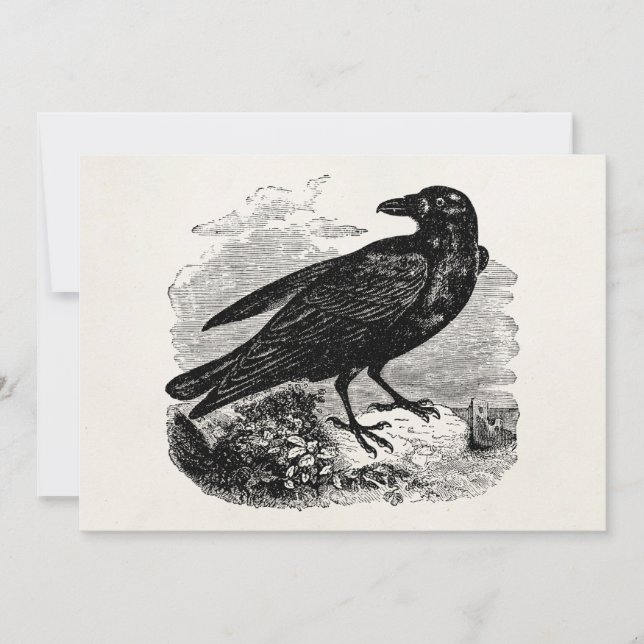 Vintage Roven Black Bird Crow Personalisierte Vöge (Vorderseite)