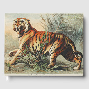 Vintage Royal Bengal Tiger Naturalist Kunst Druck Gästebuch