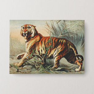 Vintage Royal Bengal Tiger Naturalisten-Kunstprint Button