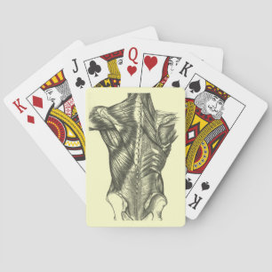 Vintage Rücken Anatomie Spielkarten