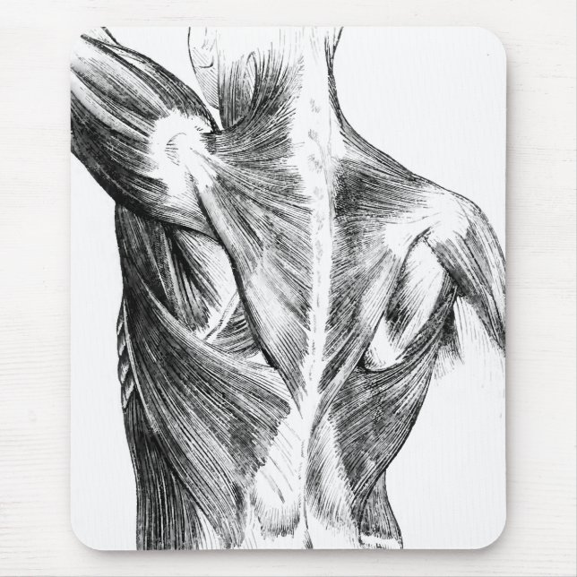 Vintage Rückenmuskel der Anatomie-| (circa 1852) | Mousepad (Vorne)