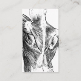 Vintage Rückenmuskel der Anatomie-| (circa 1852) | Visitenkarte