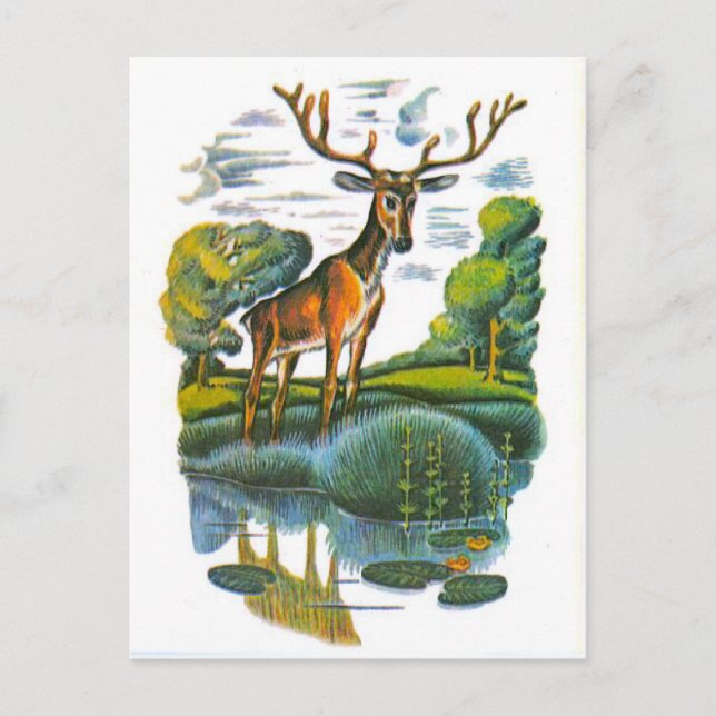 Vintage russische Illustrationen, Fabeln von Aesop Postkarte (Vorderseite)