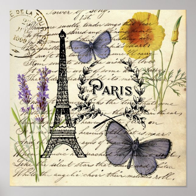 vintage rustikal französischer Schmetterling Paris Poster (Vorne)