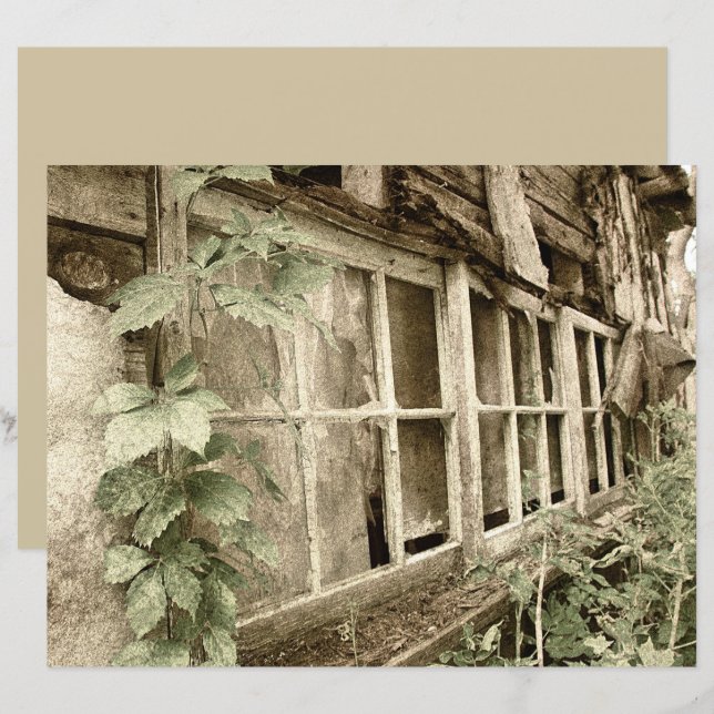 Vintage rustikale Altholzfenster (Vorne/Hinten)