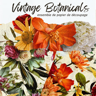 Vintage rustikale botanische Dekoupage Geschenkpapier Set