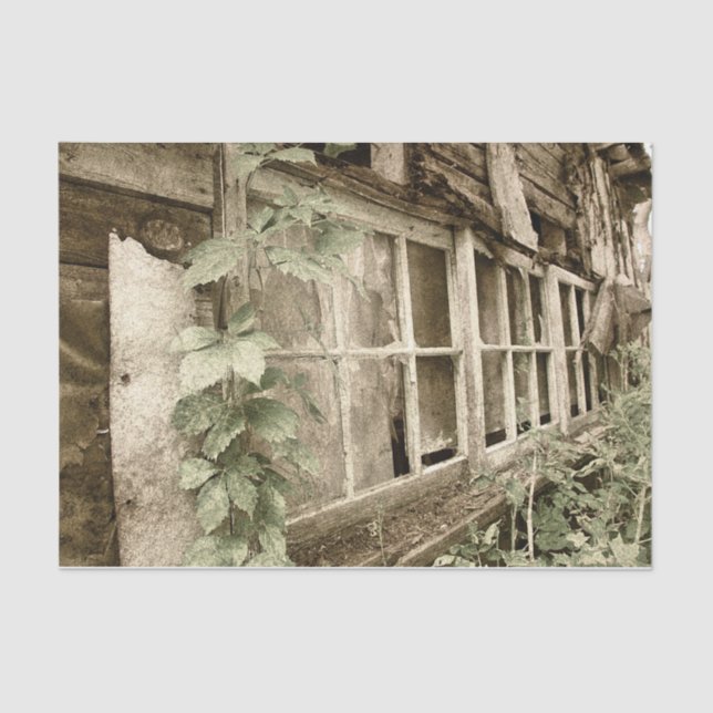 Vintage rustikale Holzschutzfenster Seidenpapier (Vorderseite)