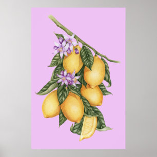 Vintage rustikale Zitronen Sommer Botanik Poster