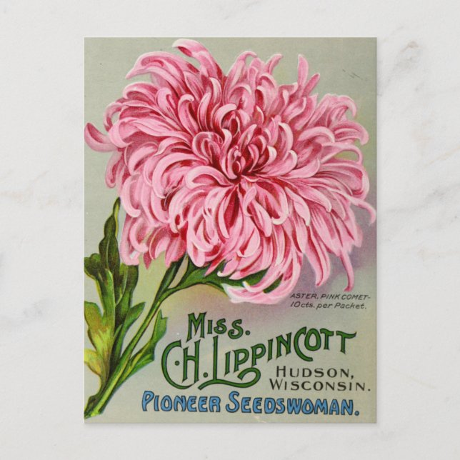 Vintage Saatgutanzeige Postkarte (Vorderseite)