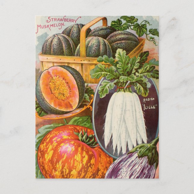 Vintage Saatgutanzeige Postkarte (Vorderseite)