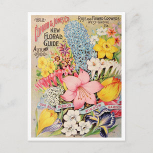 Vintage Saatgutanzeige Postkarte